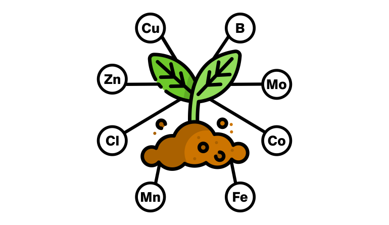 1610034125Micro_Nutritions.png